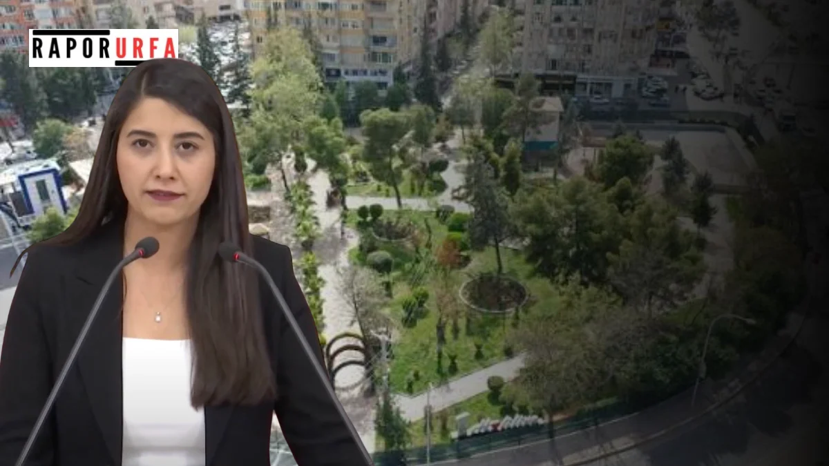 Şanlıurfa Milletvekili Dilan Kunt Ayan’dan 1 Eylül Dünya Barış Günü Daveti