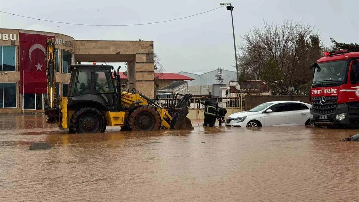Urfada eğitime ara