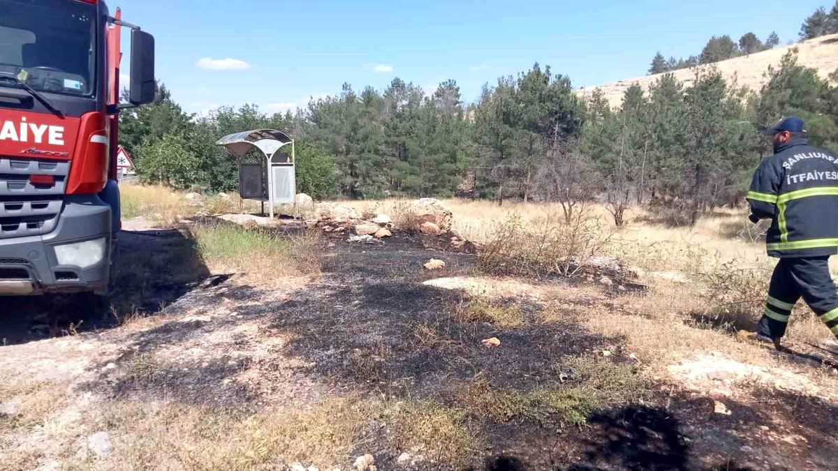 KARAKÖPRÜ’DE KORKUTAN ORMAN YANGINI: İTFAİYENİN HIZLI MÜDAHALESİ FACİAYI ÖNLEDİ!