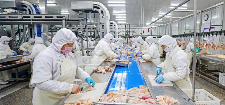 BEYAZ ET SEKTÖRÜNE DEV OPERASYON: 13 DEV ŞİRKETE KAYYUM, 32 GÖZALTI!