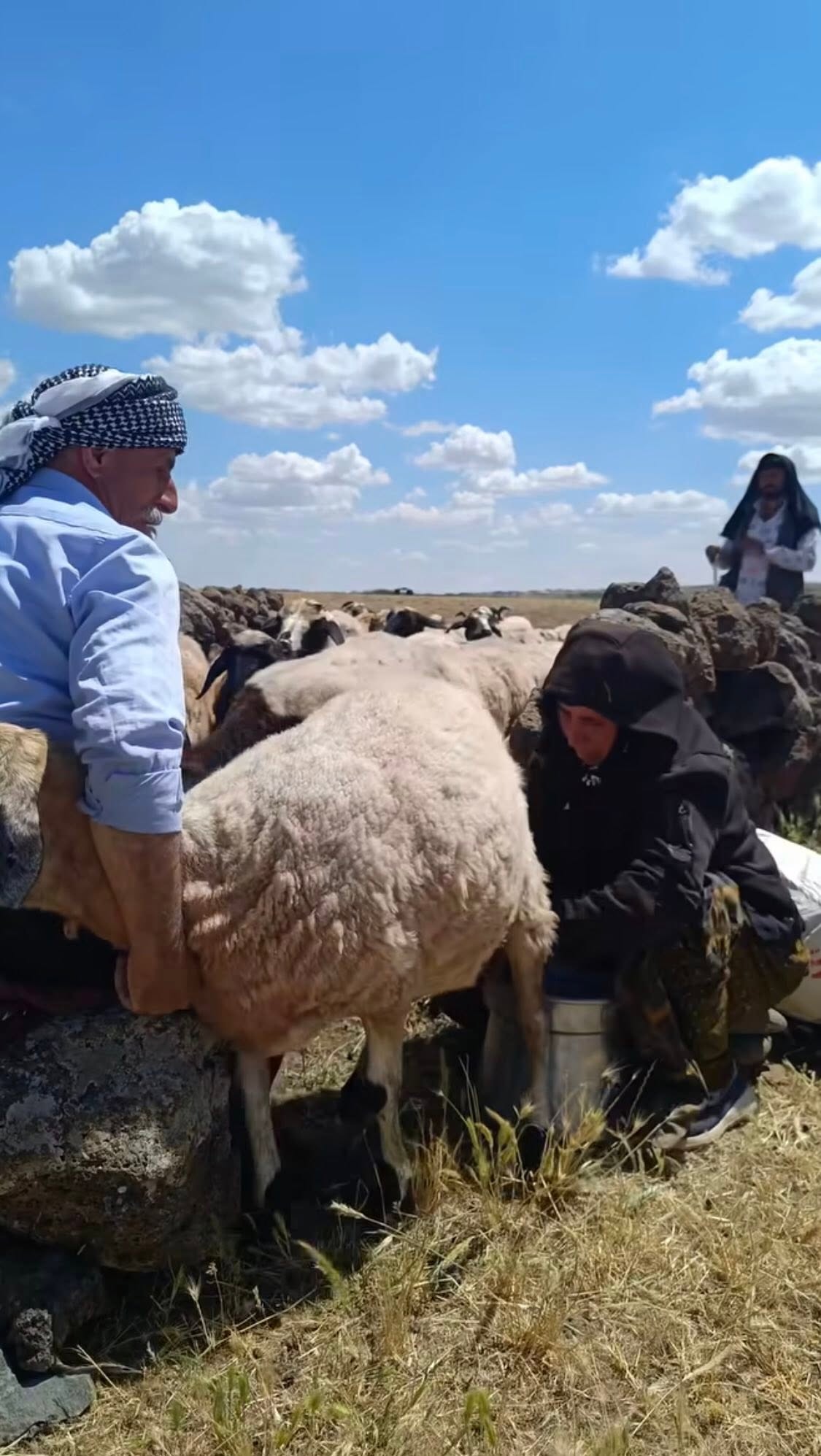 KARACADAĞ ETEKLERİNDE ZAMAN DURDU: DOĞALLIĞIN VE ÇOCUKLUK ÖZLEMİNİN FOTOĞRAFI