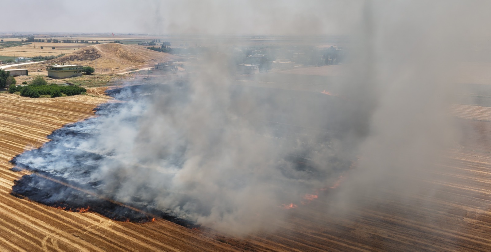 ŞANLIURFA’DA ANIZA DOĞRUDAN EKİM ÇALIŞMALARI GENİŞLETİLDİ