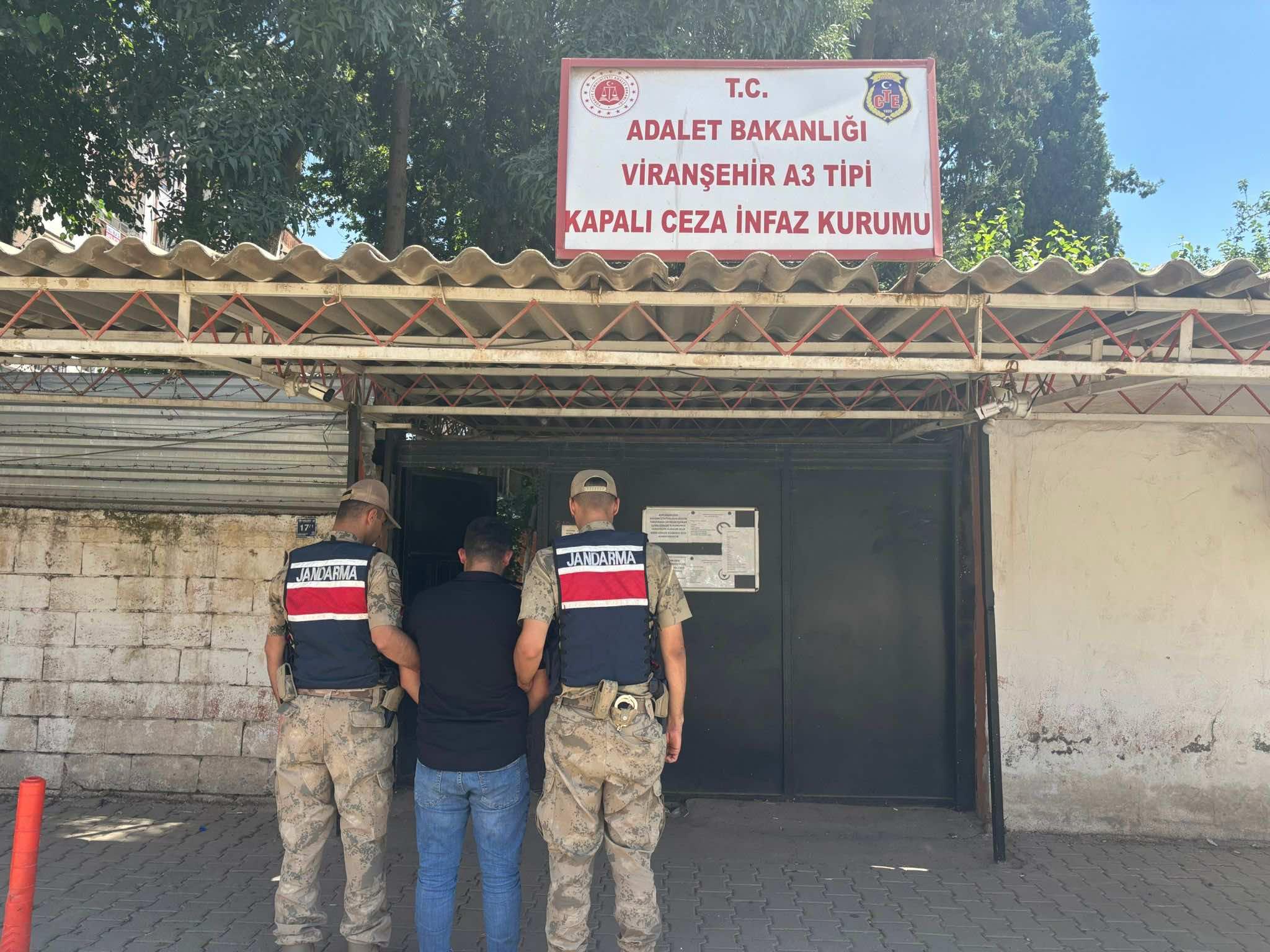 Viranşehir’de Firari Yağma Zanlısı Jandarmadan Kaçamadı