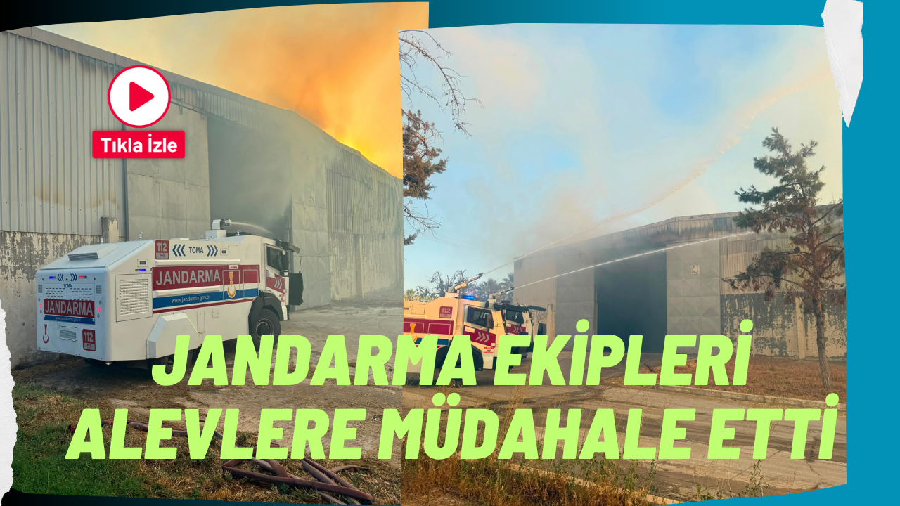 Haliliye'de İşyeri Yangını: Jandarma Ekipleri Alevlere Zamanında Müdahale Etti