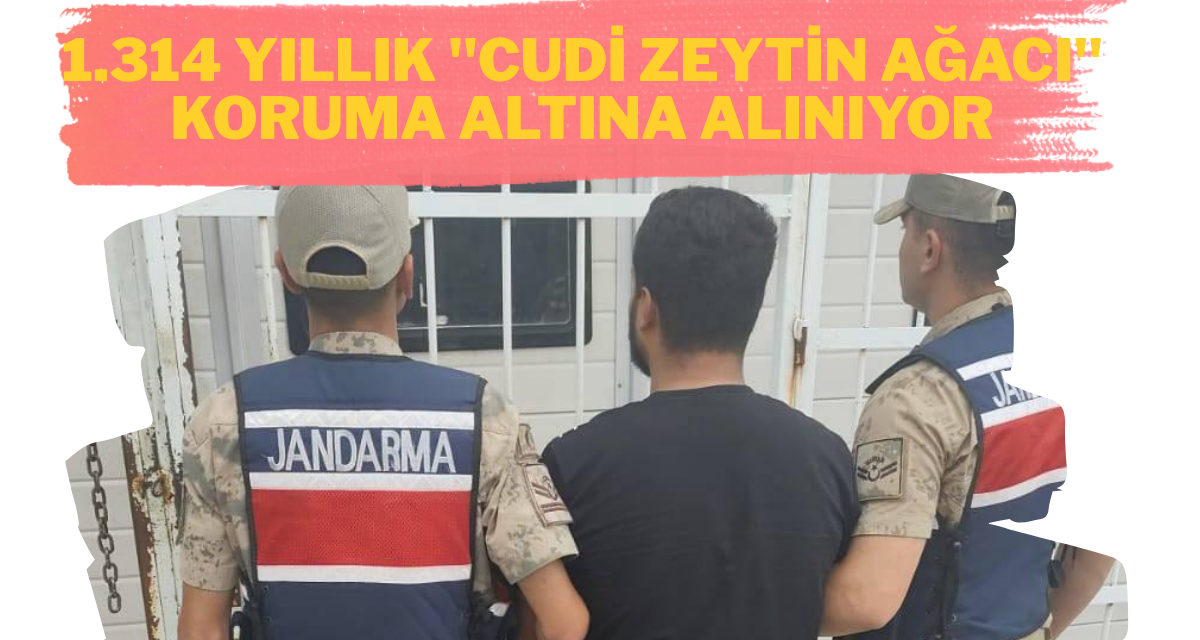 Karaköprü’de Hırsızlık Hükümlüsü Jandarma Operasyonuyla Yakalandı